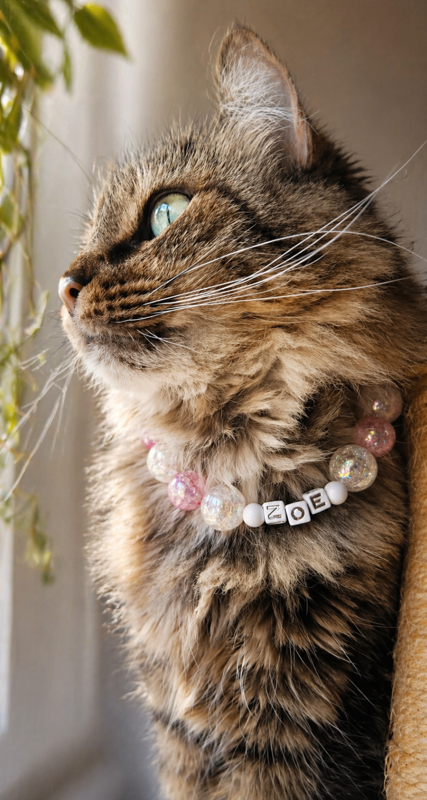 Gata real luciendo un collar artesanal personalizado de Dulce Propósito